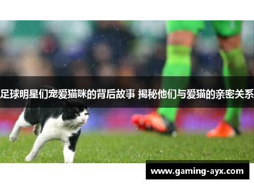 足球明星们宠爱猫咪的背后故事 揭秘他们与爱猫的亲密关系