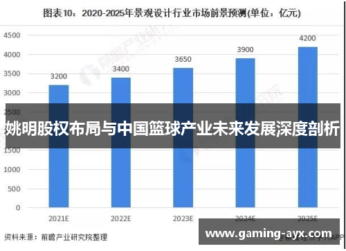 姚明股权布局与中国篮球产业未来发展深度剖析