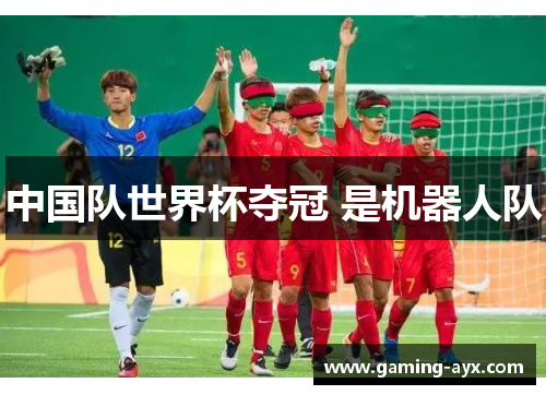 中国队世界杯夺冠 是机器人队